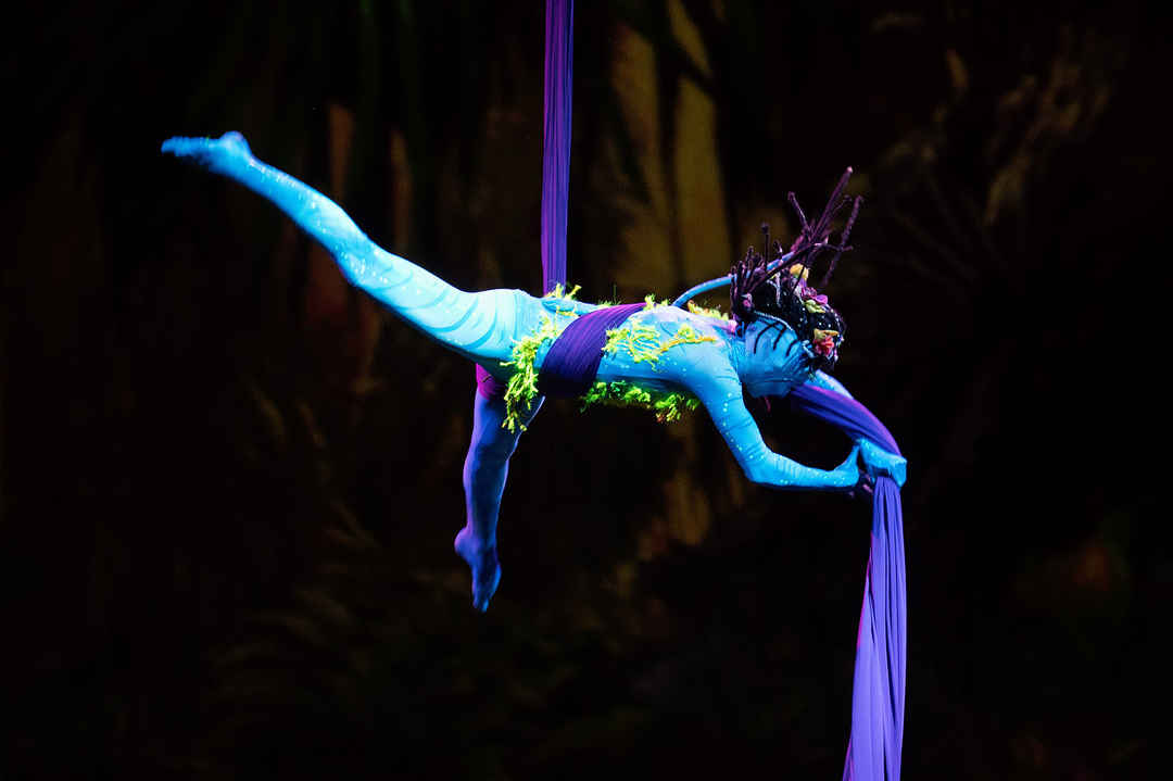Best Cirque du Soleil Show in Vegas